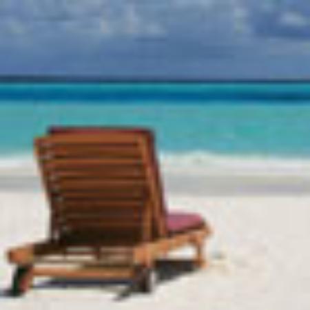 Moe's Southwest Grill